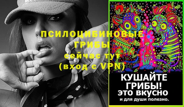 гидра Абинск